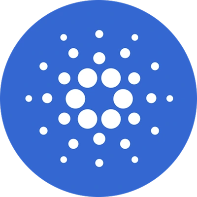 Excellence and achievement